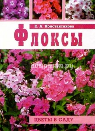 Флоксы