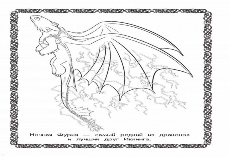 Раскраски «Как приручить дракона 3: Скрытый мир»