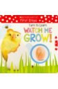 Turn to Learn Watch Me Grow! A Book of Life Cycles weidner zoehfeld kathleen little kids first big book of science
