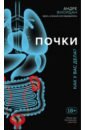 Жиордан Андре Почки. Как у вас дела?