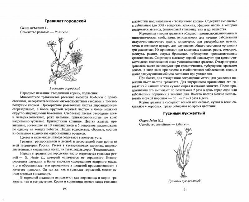 Иллюстрация 1 из 8 для Целебные свойства дикорастущих растений. Учебное пособие - Наумкин, Демидова, Манохина, Наумкина | Лабиринт - книги. Источник: Лабиринт