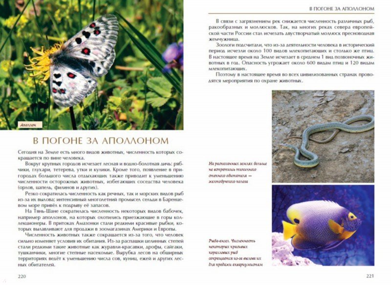 Иллюстрация 5 из 15 для Экология - это интересно - Владимир Бабенко | Лабиринт - книги. Источник: Лабиринт