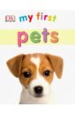 Lloyd Clare, Tucker Loise Pets (board book) my first pets sticker activity book