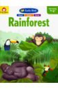 Early Bird. Rainforest kindergarten summer activity flashcards