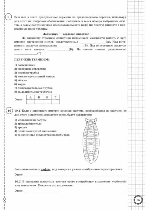 ВПР по биологии 7 класс 2020 с ответами