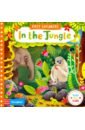 Wren Jenny In the Jungle jungle journey a push and pull adventure