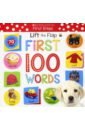 Lift the Flap First 100 Words (board book) monsters inc first words things that go cd