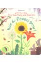 Daynes Katie How Do Flowers Grow? daynes katie the story of cars cd