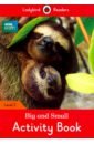 Morris Catrin BBC Earth. Big and Small. Activity Book wild animals activity book ladybird readers level 2