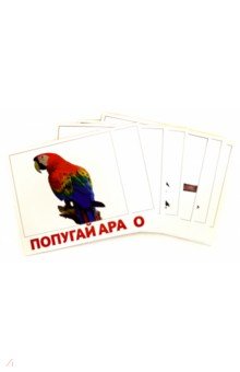 Набор карточек Птицы