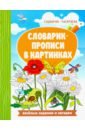 Бахурова Евгения Петровна Словарик-прописи в картинках