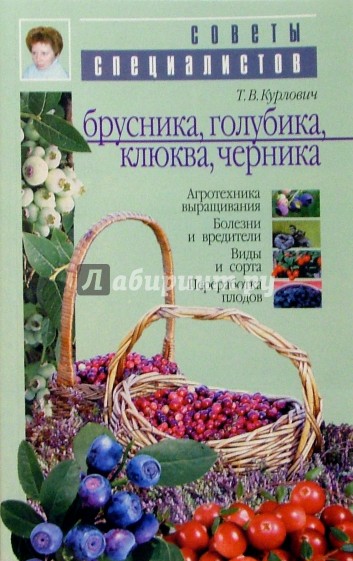 Брусника, голубика, клюква, черника