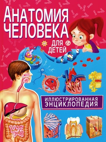 Анатомия человека для детей. Иллюстрированная энциклопедия