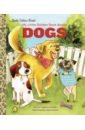 Houran Lori Haskins My Little Golden Book About Dogs houran lori haskins flat stanley goes camping level 2