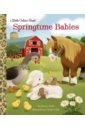 Smith Danna Springtime Babies regan lisa search and find animals