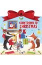 цена Acampora Coutney Countdown to Christmas (board book)