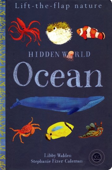 Hidden World: Ocean (Lift the Flap Nature)