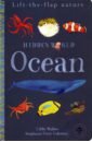 Walden Libby Hidden World. Ocean kirby m infinity ring book 5 cave of wonders