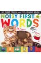 Walden Libby Noisy First Words My First Touch & Feel Sound Book walden libby touch and feel first words board book