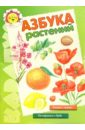 Азбука растений. Книжка - плакат (5-7 лет)