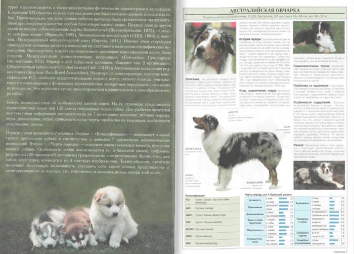 Иллюстрация 1 из 12 для Все о самых популярных породах собак - Джульетта Мей | Лабиринт - книги. Источник: Лабиринт