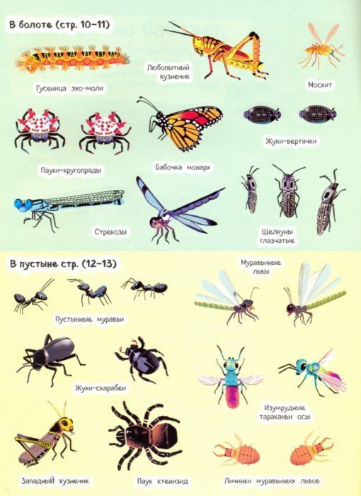Виды насекомые список. Насекомые названия. Виды насекомых список. Насекомые список названий для детей. Кто относится к насекомым список.