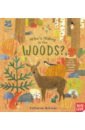 there are 101 animals in this book McEwen Katharine Who's Hiding in the Woods?