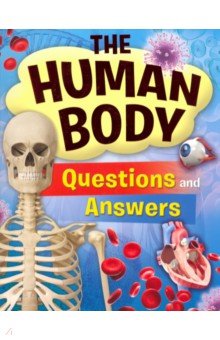 

Human Body Questions and Answers