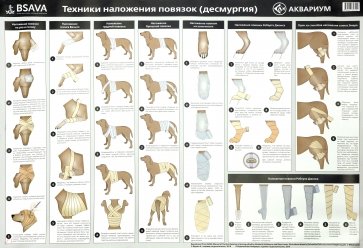 Плакат "Техника наложения повязок" (в тубусе)