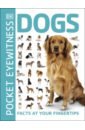 Dogs. Facts at Your Fingertips dinosaurs facts at your fingertips