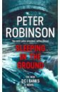 купить Robinson Peter Sleeping in the Ground в интернет-магазине
