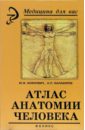 Боянович Юрий Атлас анатомии человека 3dtotal фигура человека для художника большая книга анатомии референсов и художественных поз