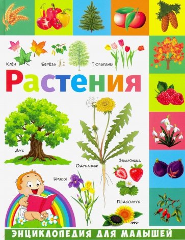 Растения