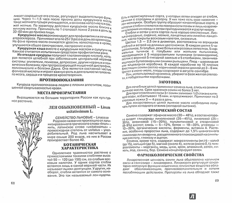 Иллюстрация 1 из 5 для Мужские болезни. Профилактика и лечение - Николай Мазнев | Лабиринт - книги. Источник: Лабиринт