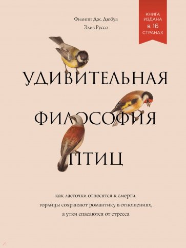 Удивительная философия птиц. Как ласточки относятся к смерти, горлицы сохраняют романтику в отношен.