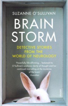 Brainstorm. Detective Stories From the World of Neurology