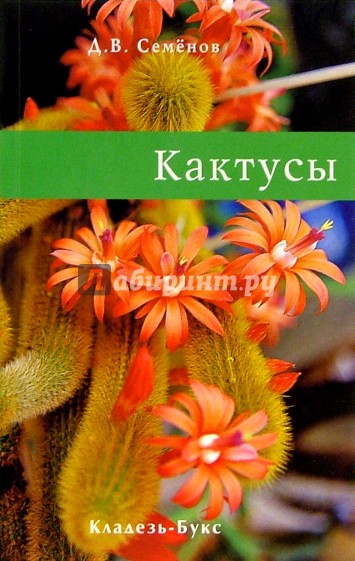 Кактусы