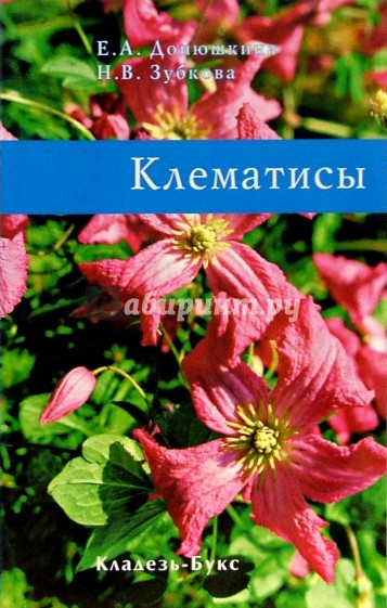 Клематисы