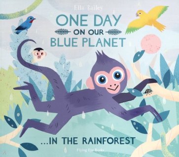 One Day On Our Blue Planet: In The Rainforest PB