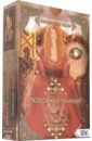 Никовски Жанна Любовный рунный оракул (25 карт + книга) никовски ж славянский рунный оракул