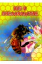 Все о пчеловодстве. 1000 практических советов