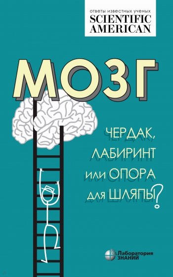 Мозг: чердак, лабиринт или опора для шляпы?