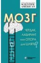 Таккер Карин, Хильгетаг Клаус К., Барбас Хелен Мозг. Чердак, лабиринт или опора для шляпы?