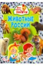 Животные России животные россии
