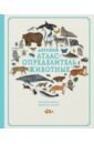 Ховард Джус, Эванс Фэй Детский атлас-определитель животных детский атлас животных