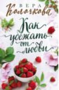 Колочкова Вера Александровна Как убежать от любви