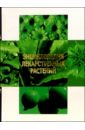 Энциклопедия лекарственных растений большая энциклопедия лекарственных растений