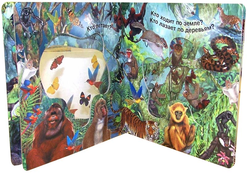 Иллюстрация 1 из 5 для Кто живет в джунглях. Волшебное окошко-макси | Лабиринт - книги. Источник: Лабиринт