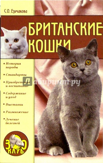 Британские кошки