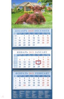 

Календарь квартальный на 2021 год "Год быка. Хорошее настроение" (14103)